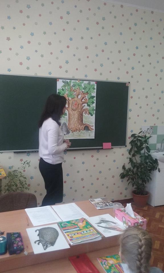 16711496 1760014674317833 2668587736594520745 n