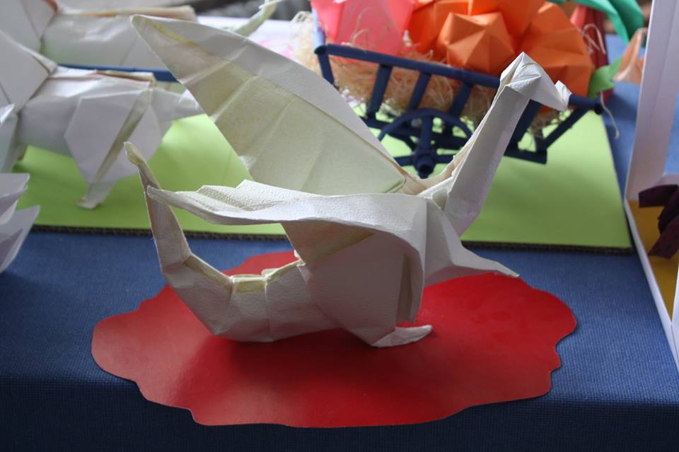 18698338 1819313815054585 4546866664772019403 n