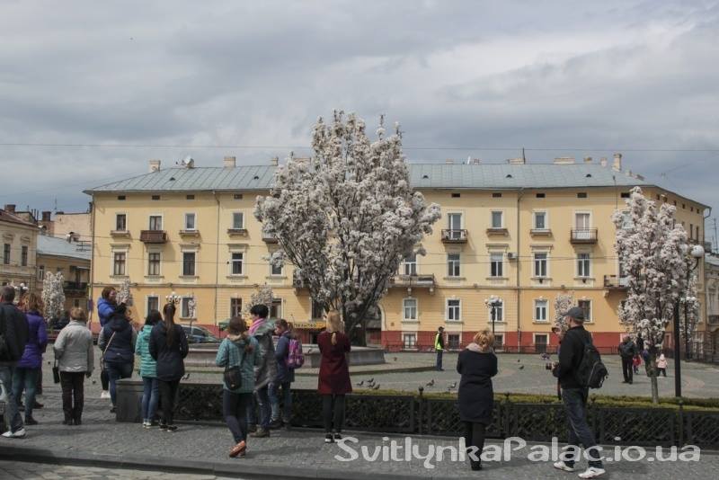 22386467 1739432272796355 573308271 n