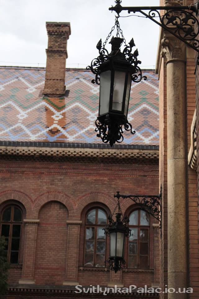 22472536 1739432279463021 1092775889 n