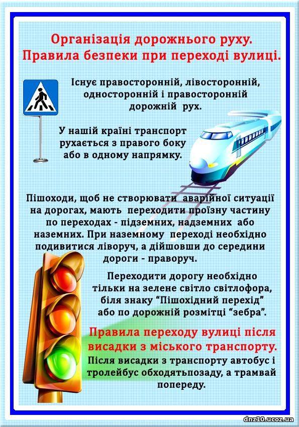 23574236 1782280805178168 1854847568 n