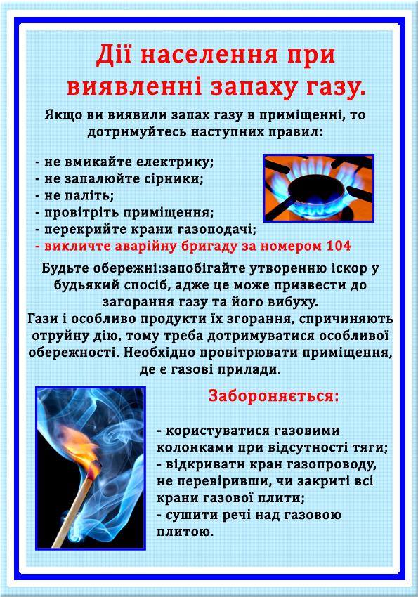 23201649 1769038879835694 802856106 n