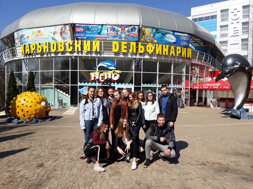 31131508 2009365802469666 3510506637670481920 n